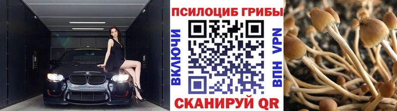 наркотики  Кирс  Псилоцибиновые грибы мухоморы 